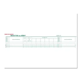 Exacompta - Piqûre Journal de caisse ou banque - 2 libellés : 6 crédits/13 débits - 27 x 32 cm