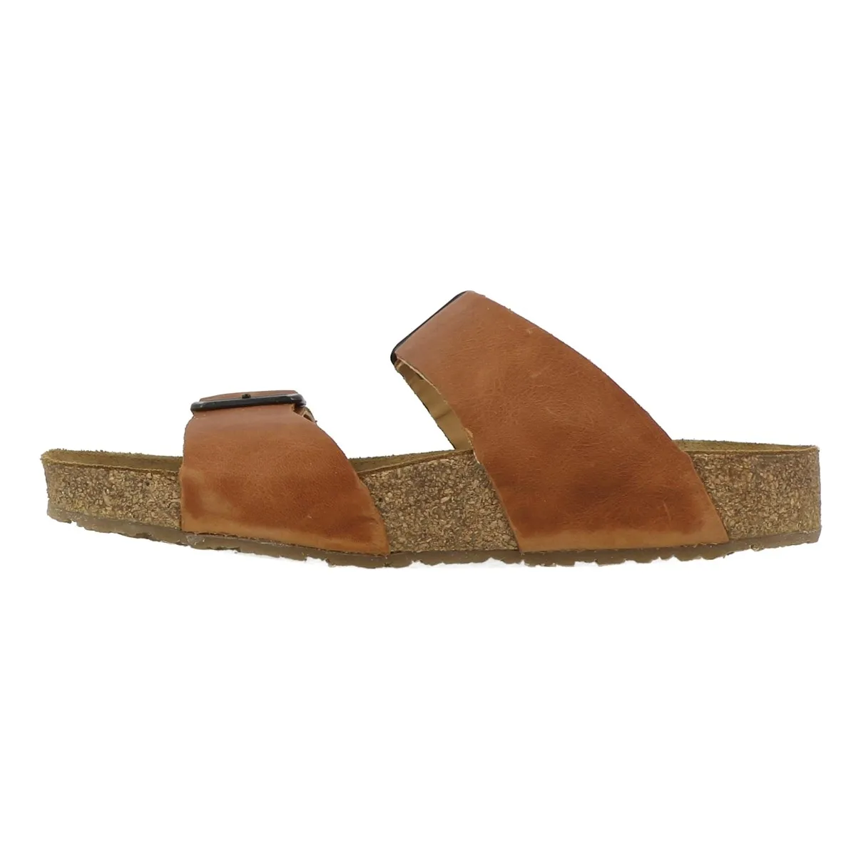 Mules  Haflinger bio andrea marron